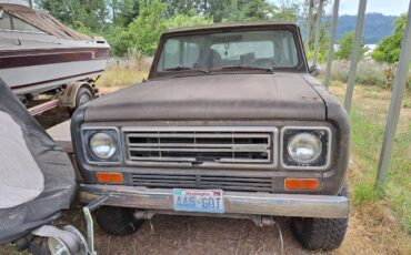 International-1977-brown