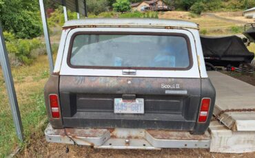 International-1977-brown-5