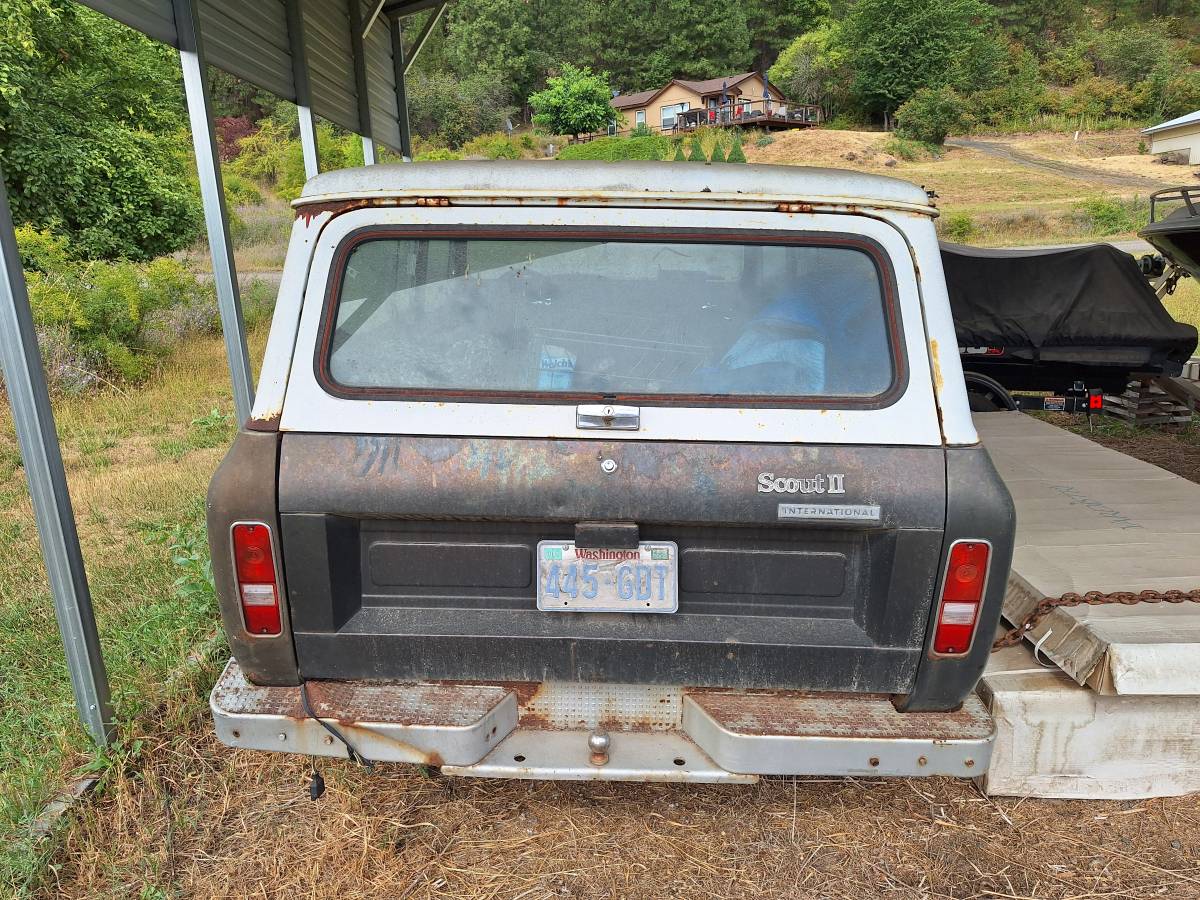 International-1977-brown-5