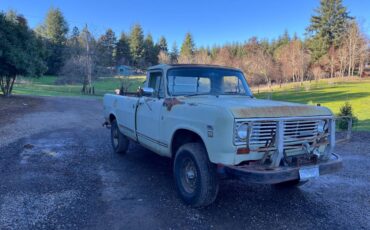 International-200-8-1974-green-1