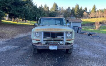 International-200-8-1974-green-2