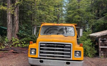 International-7400-dump-truck-1981-yellow