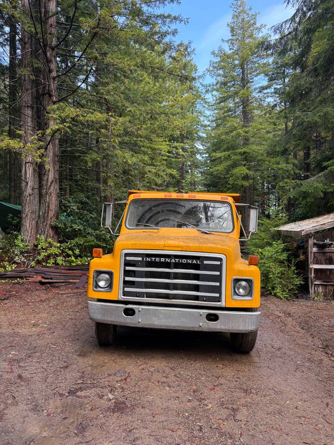 International-7400-dump-truck-1981-yellow