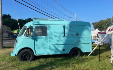 International-Harvester-METRO-VAN-1959-Commercial-Vehicle-12