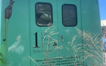 International-Harvester-METRO-VAN-1959-Commercial-Vehicle-13