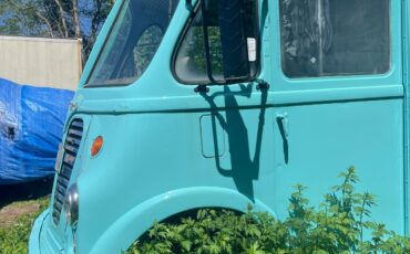 International-Harvester-METRO-VAN-1959-Commercial-Vehicle-18