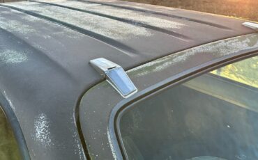 International-Harvester-Scout-1979-11