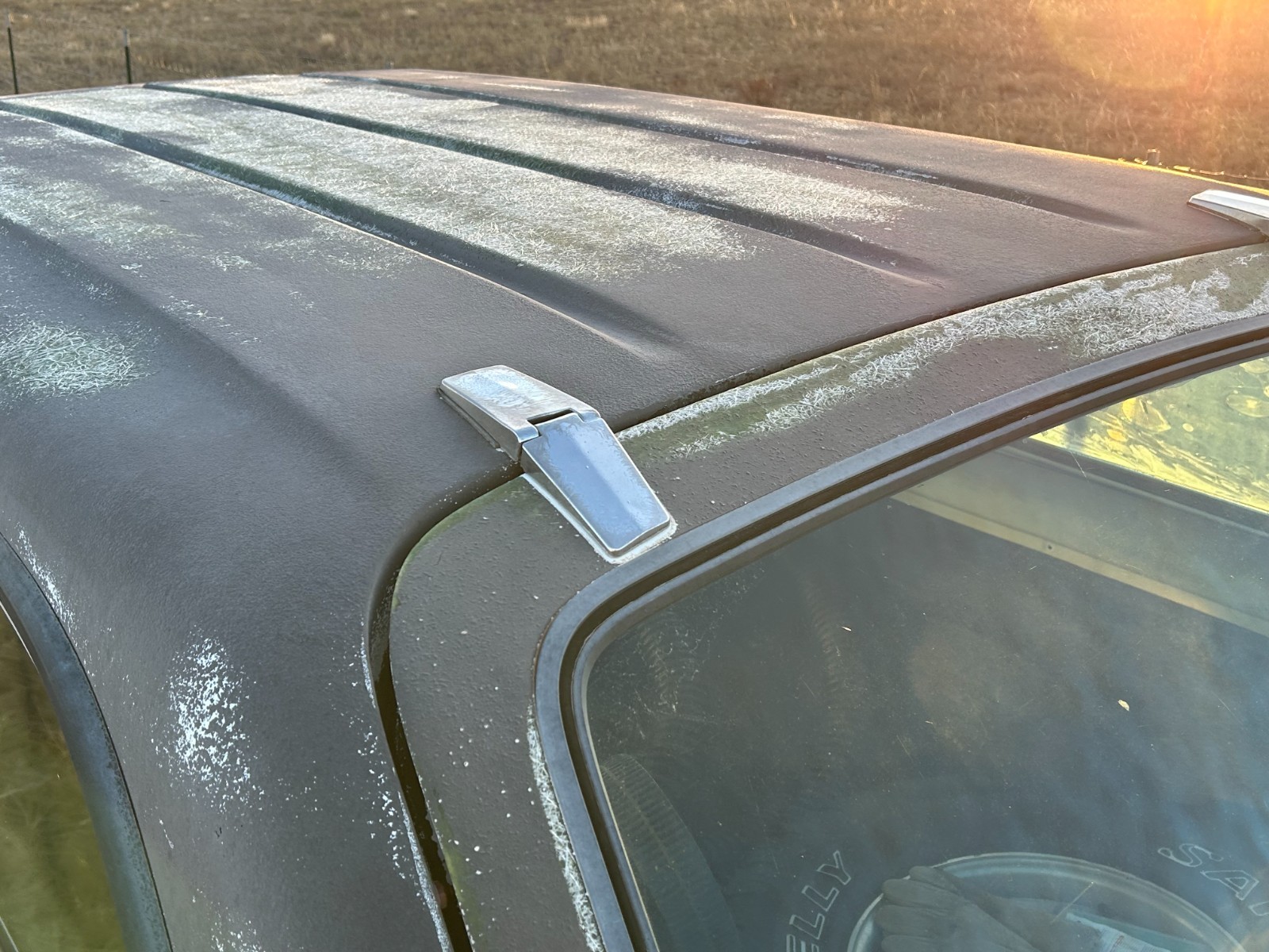 International-Harvester-Scout-1979-11