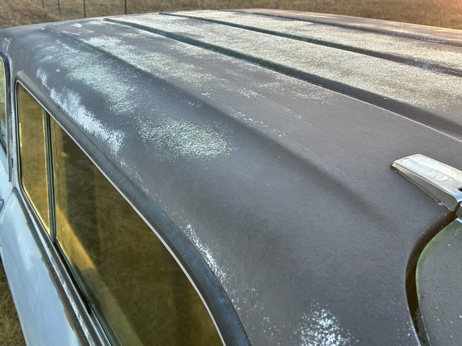 International-Harvester-Scout-1979-12