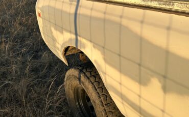 International-Harvester-Scout-1979-8