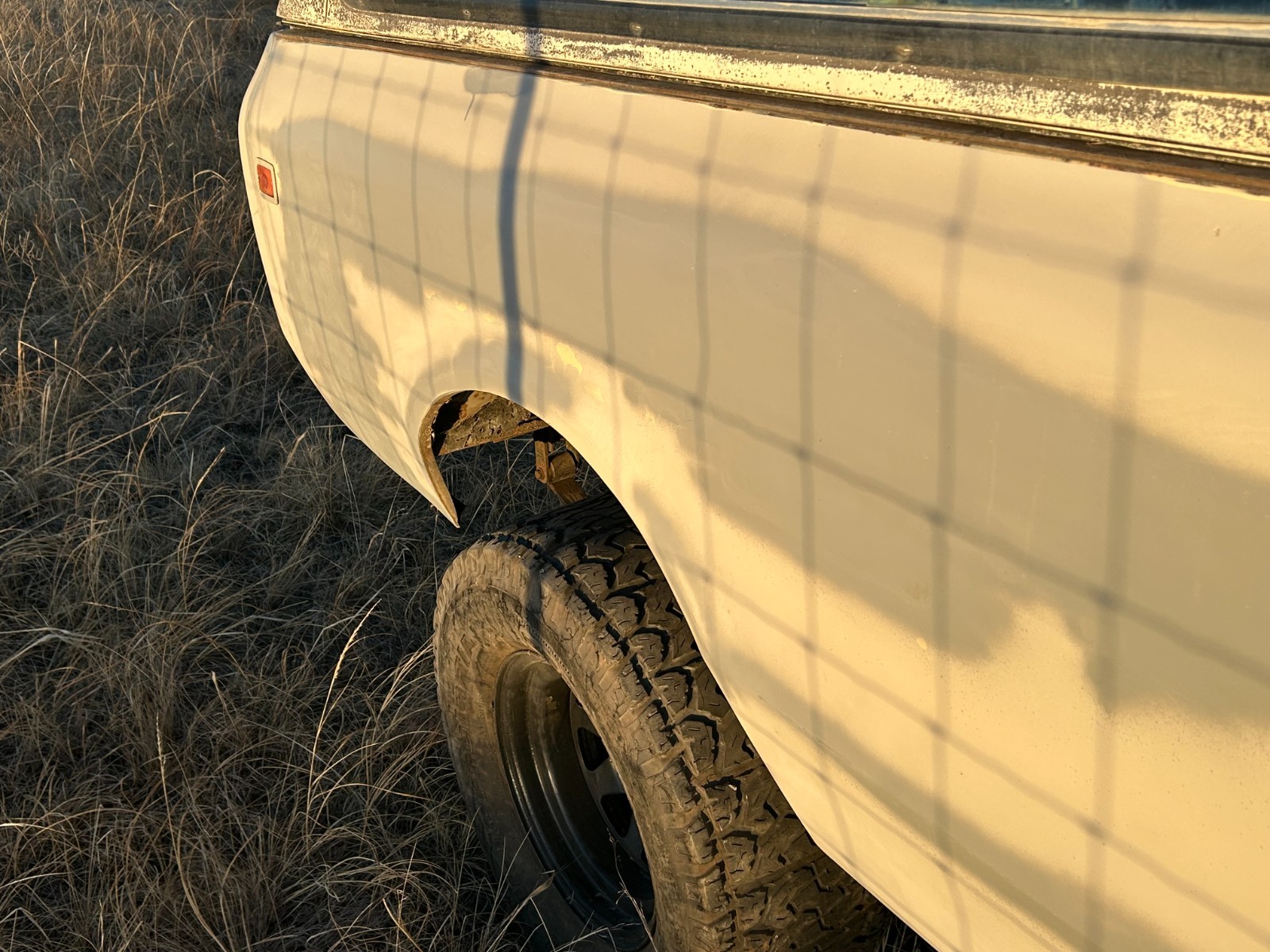International-Harvester-Scout-1979-8