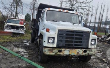 International-dump-truck-1980-1