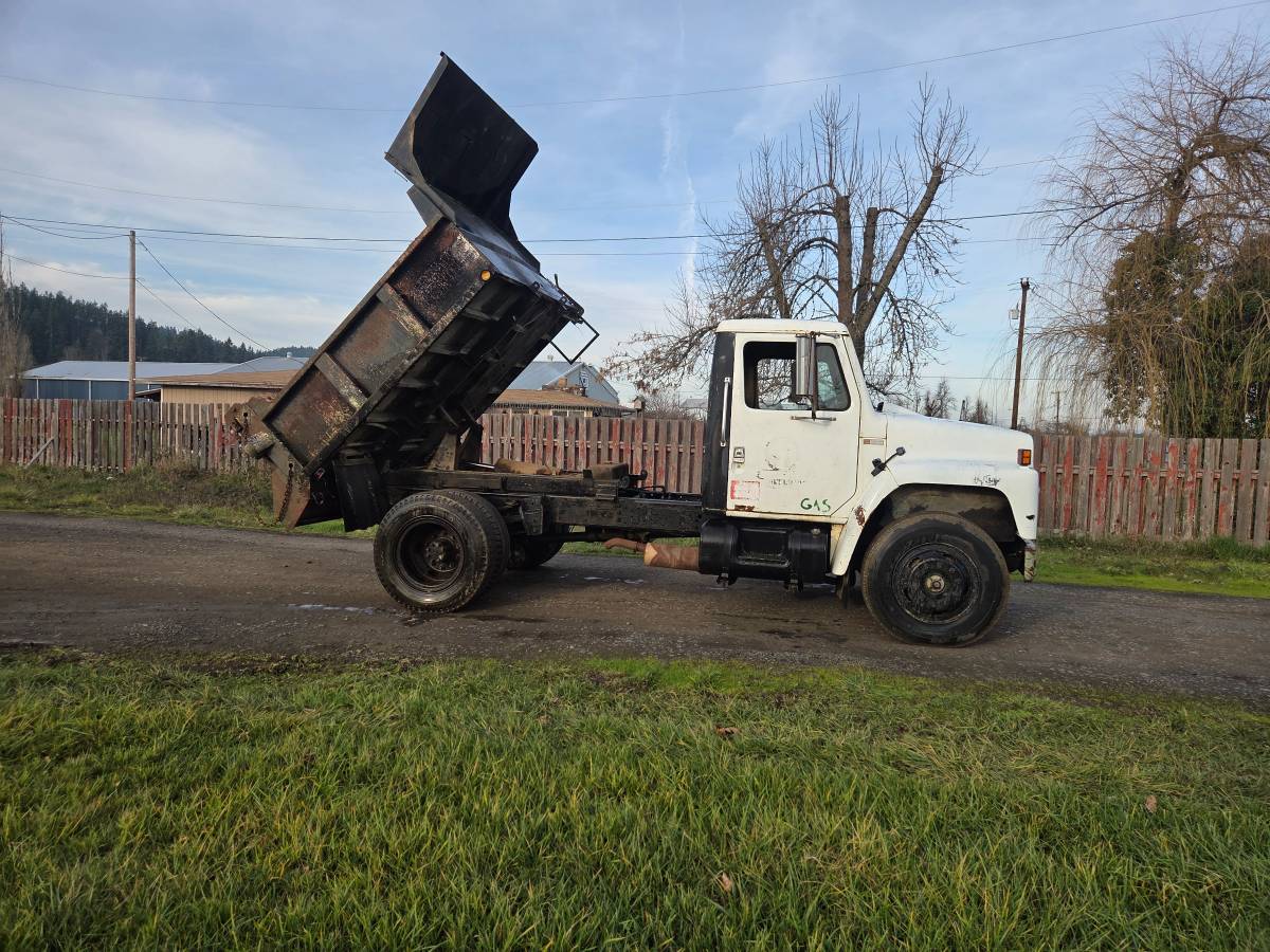 International-dump-truck-1980-3