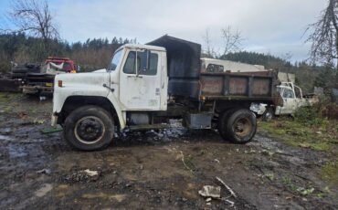 International-dump-truck-1980