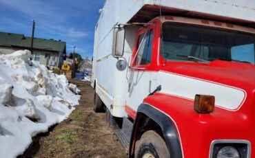 International-harvester-diesel-1979-white-10