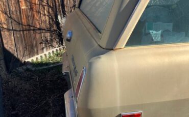 International-travelall-1100d-diesel-1970-yellow-1