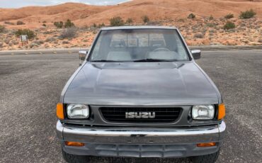 Isuzu-pickup-1991-grey-12