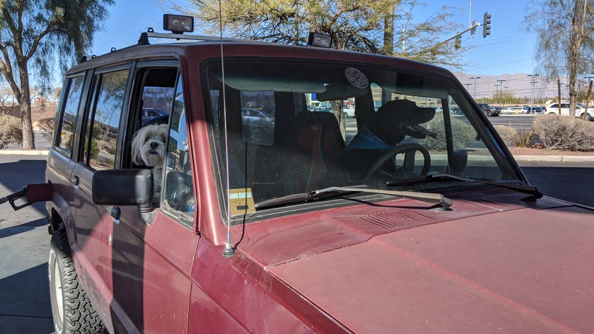 Isuzu-trooper-1989-purple-2