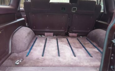 Isuzu-trooper-4x4-1992-purple-13