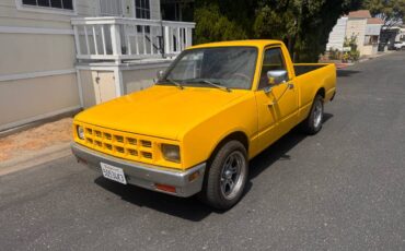 Isuzu-truck-diesel-1981-2