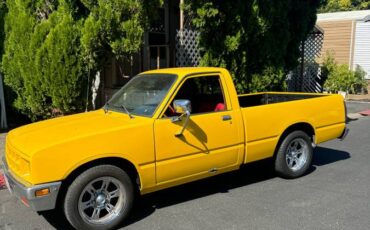 Isuzu-truck-diesel-1981