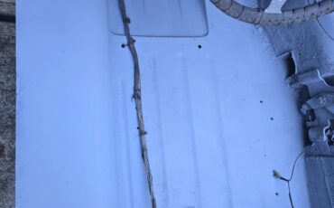 Jaguar-E-type-xke-1967-19