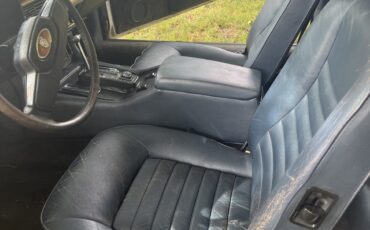 Jaguar-XJS-1984-Coupe-4