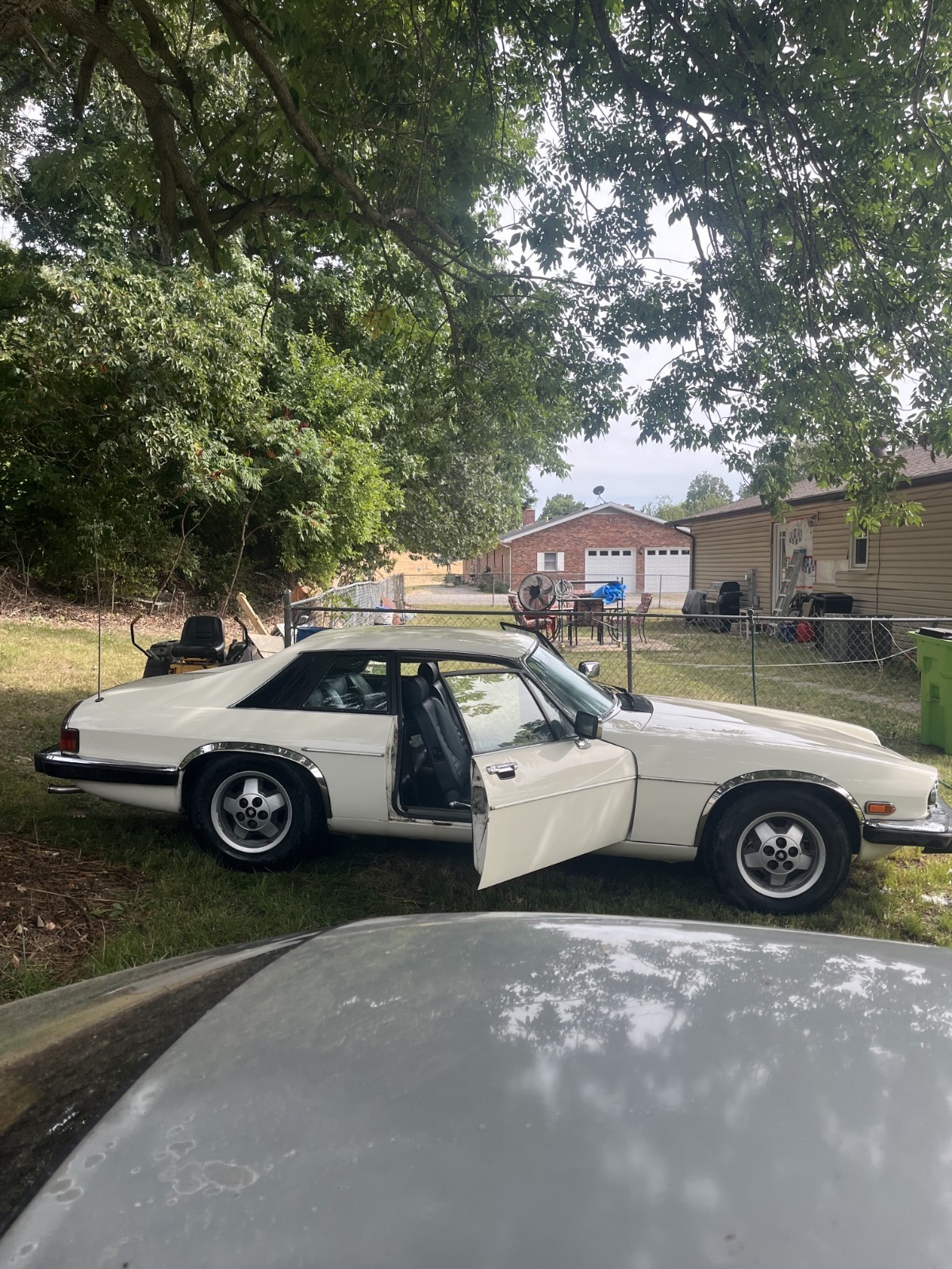 Jaguar-XJS-1984-Coupe-6