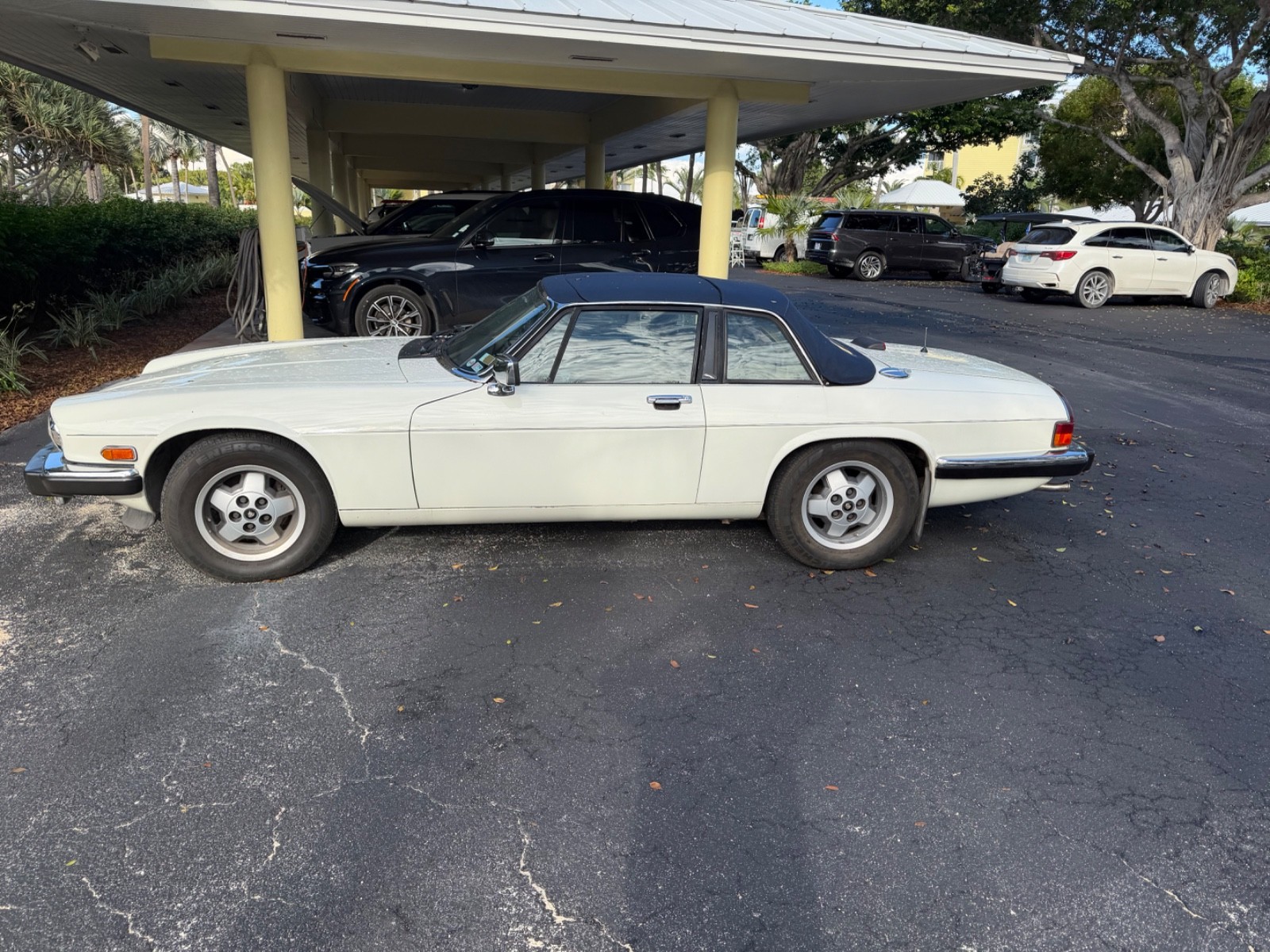 Jaguar-XJS-1987-Convertible-1