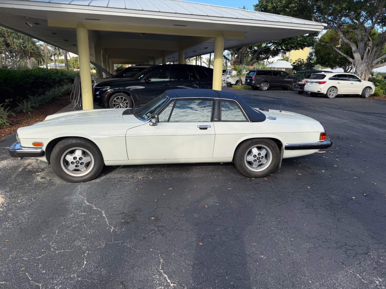 Jaguar-XJS-1987-Convertible-2