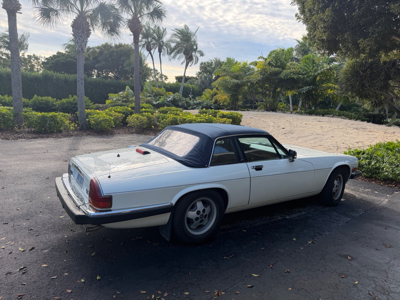 Jaguar-XJS-1987-Convertible-4