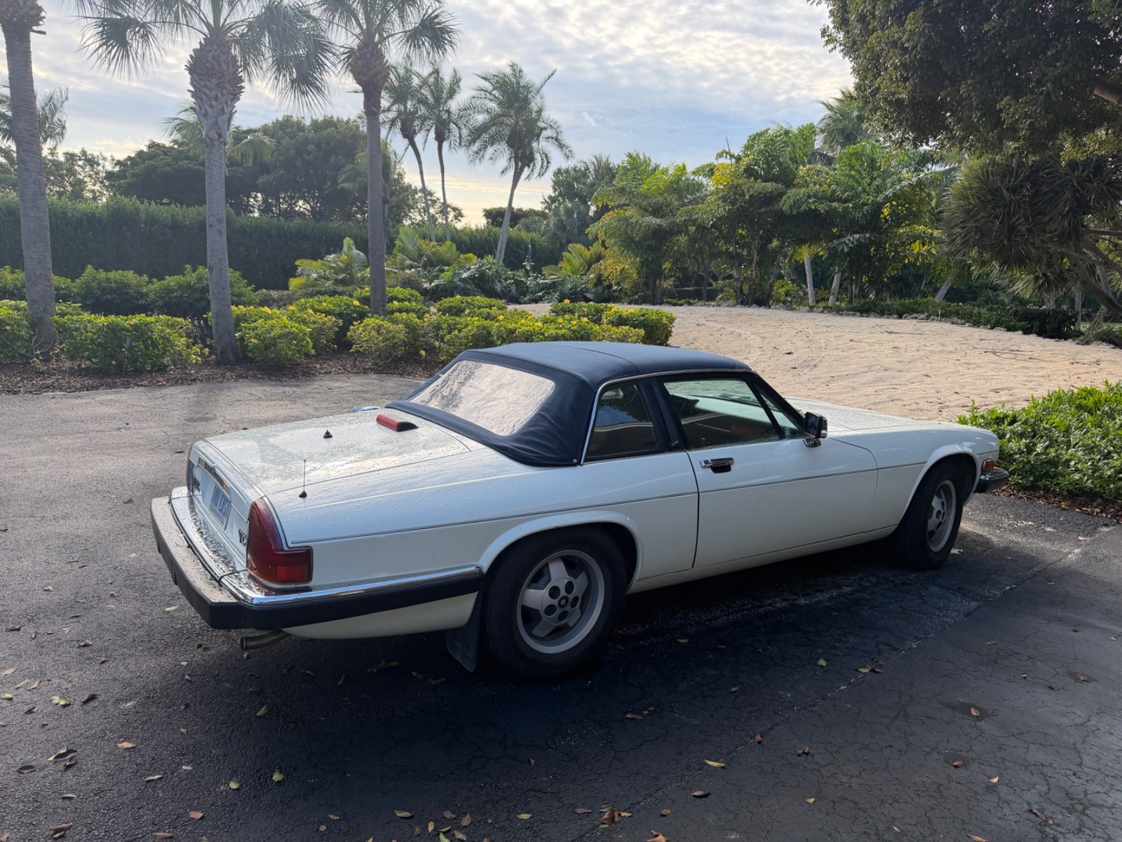 Jaguar-XJS-1987-Convertible-5
