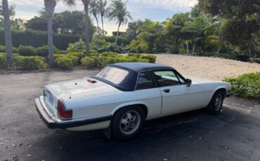 Jaguar-XJS-1987-Convertible-5