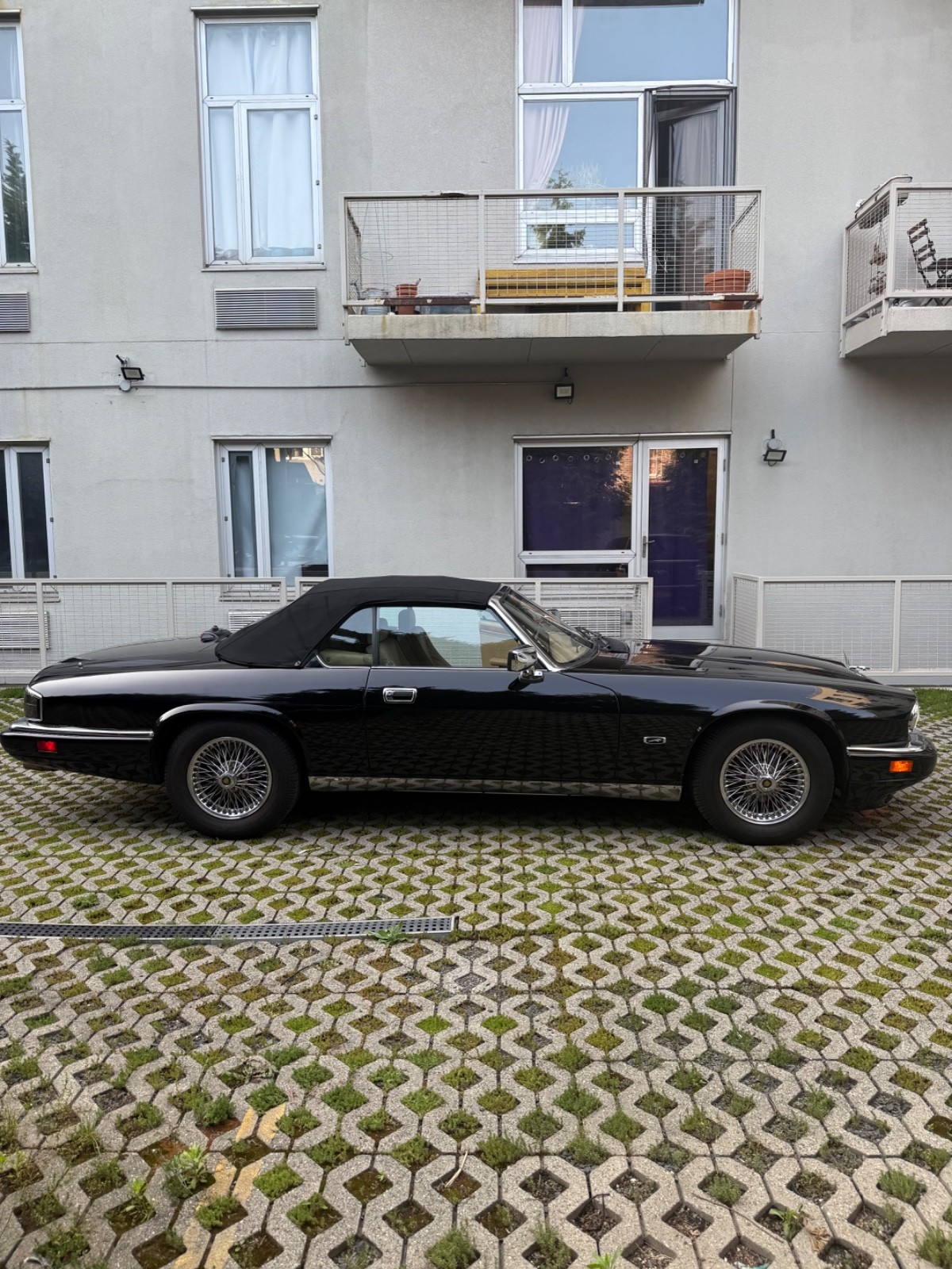 Jaguar-XJS-1994-Convertible-10