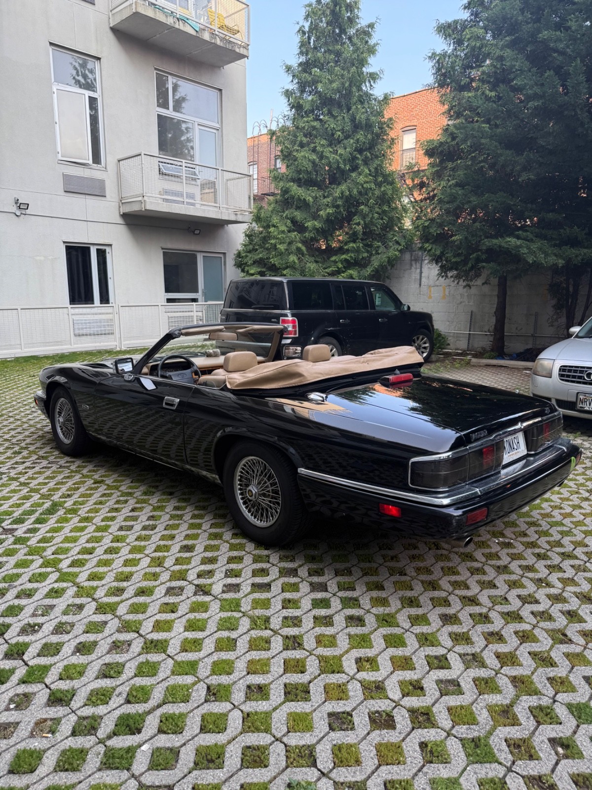 Jaguar-XJS-1994-Convertible-17