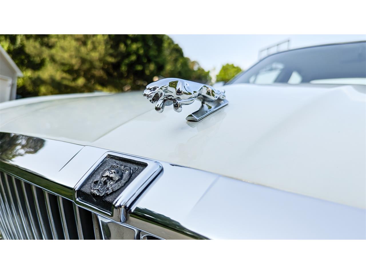 Jaguar-Xj6-1991-White-Tan-19