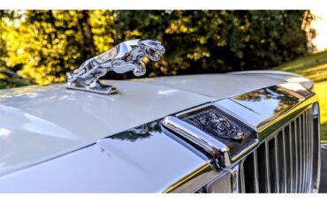 Jaguar-Xj6-1991-White-Tan-4