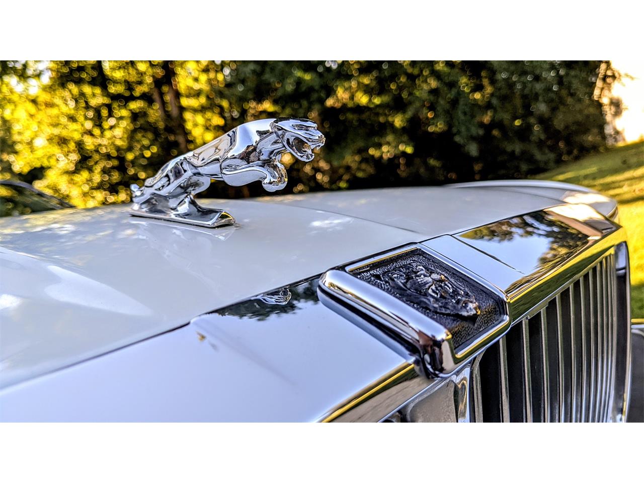 Jaguar-Xj6-1991-White-Tan-4