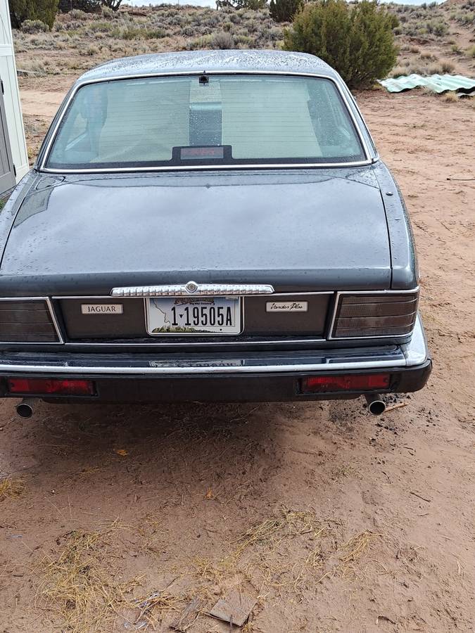 Jaguar-xj6-vandenplas-1991-grey-2