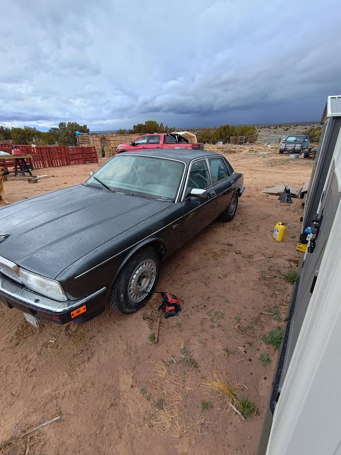 Jaguar-xj6-vandenplas-1991-grey-3