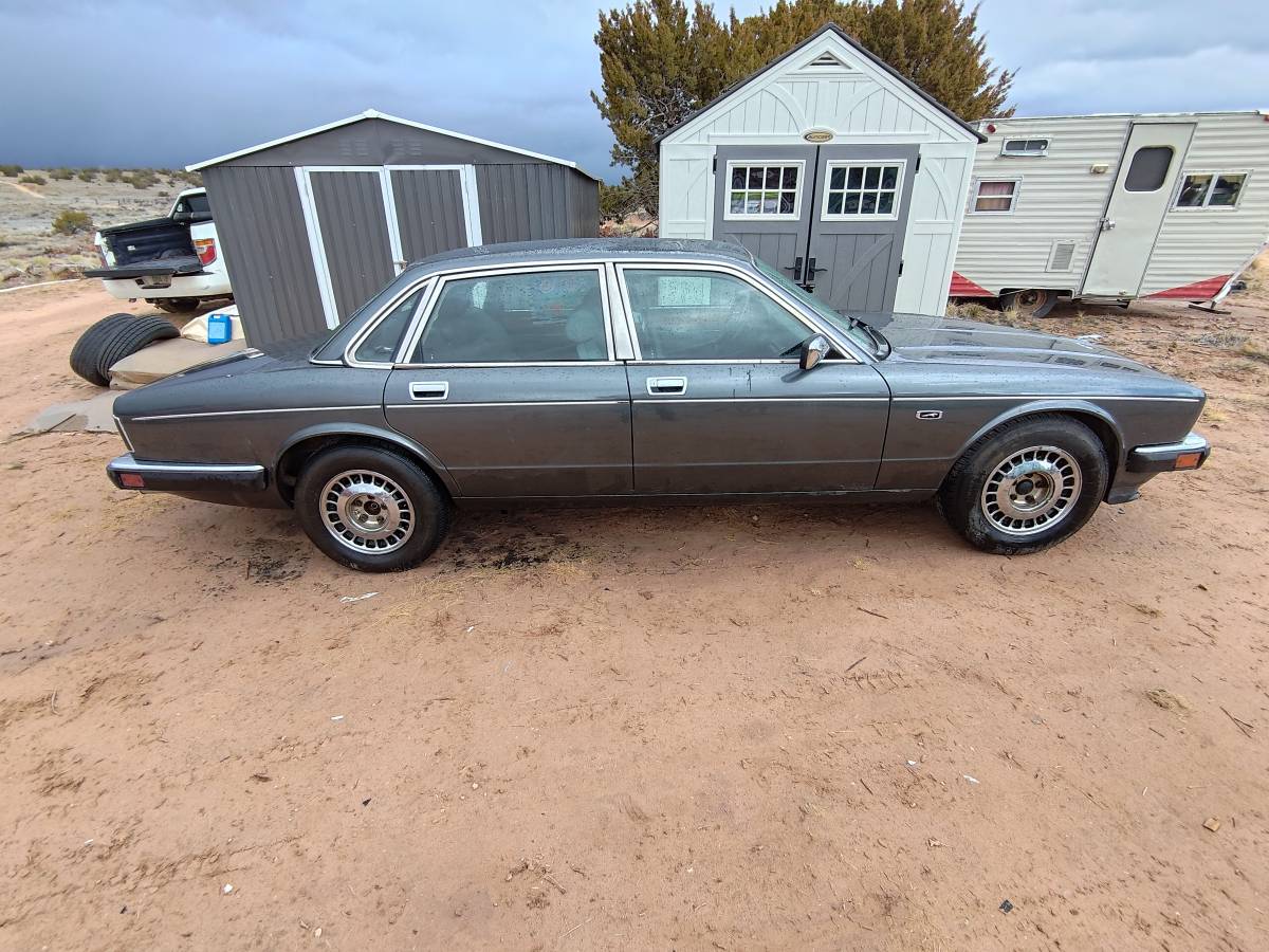 Jaguar-xj6-vandenplas-1991-grey-9