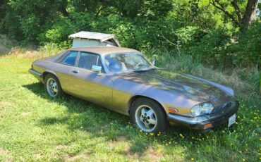 Jaguar-xjs-1985-10