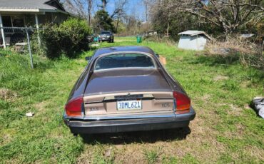 Jaguar-xjs-1985-2