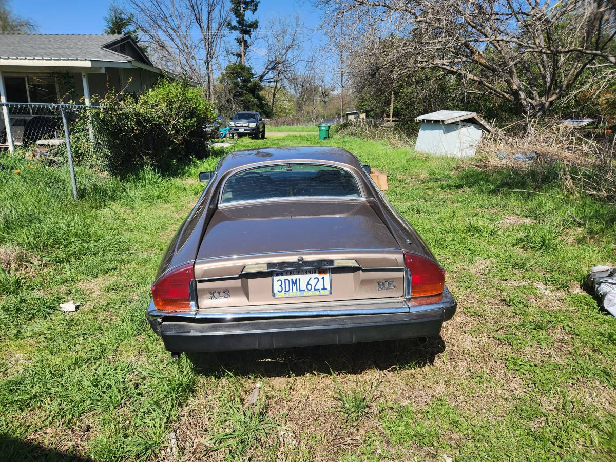 Jaguar-xjs-1985-2
