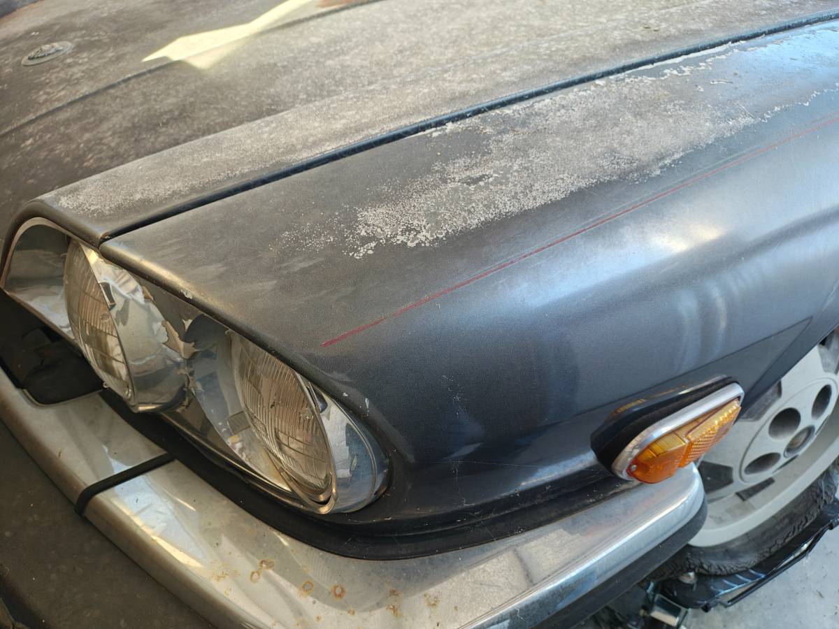 Jaguar-xjs-1985-blue-4