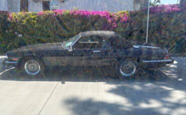 Jaguar-xjs-1989-black-6