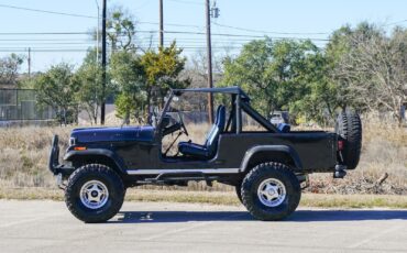 Jeep-CJ-1981-Other-3