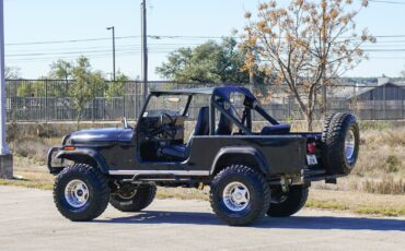 Jeep-CJ-1981-Other-5