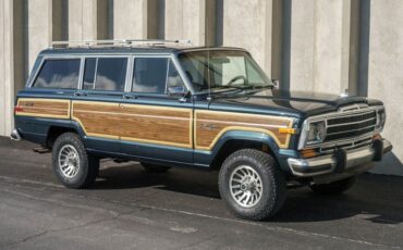 Jeep-Grand-Wagoneer-1988-SUV-24