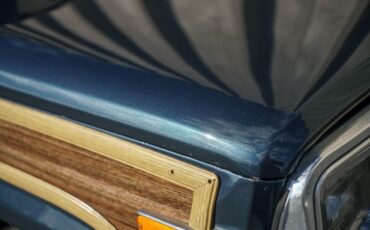 Jeep-Grand-Wagoneer-1988-SUV-37